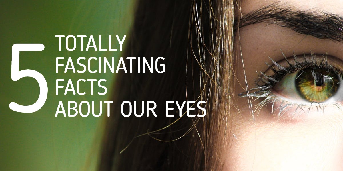 5 Totally Crazy Facts About Our Eyes